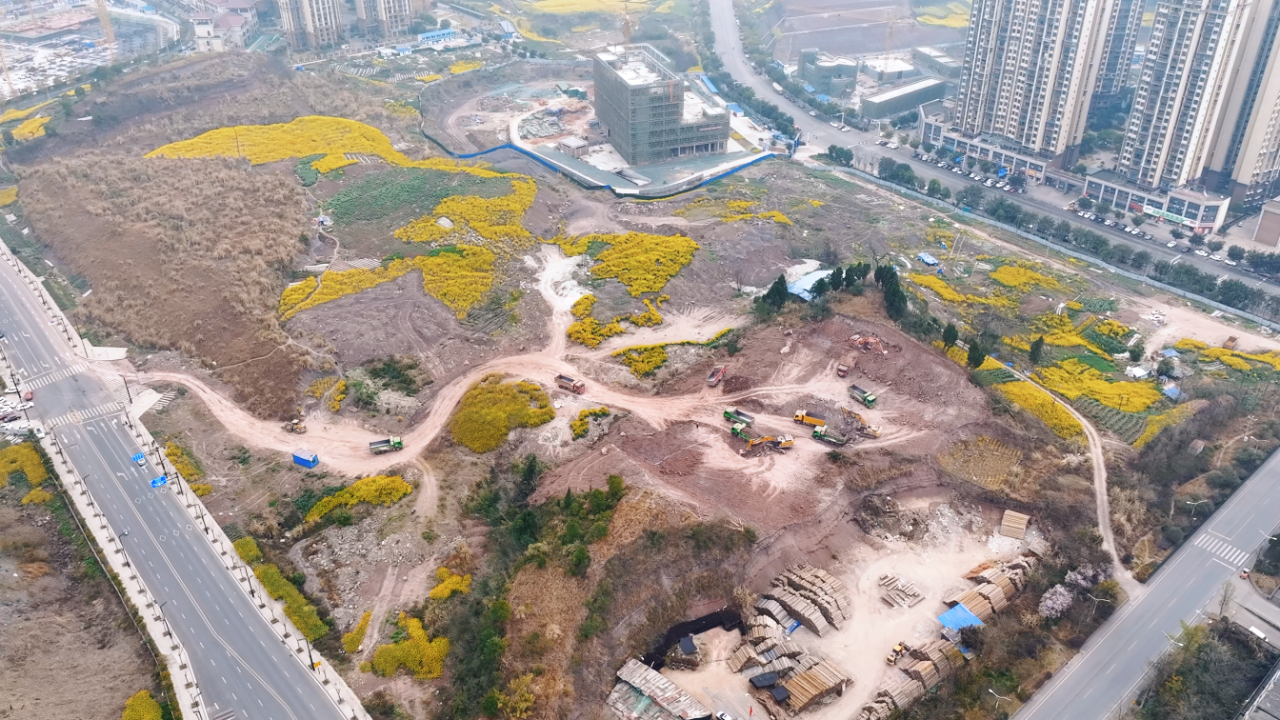 5d65adf5b9c547f290082fa8e2eb5afa