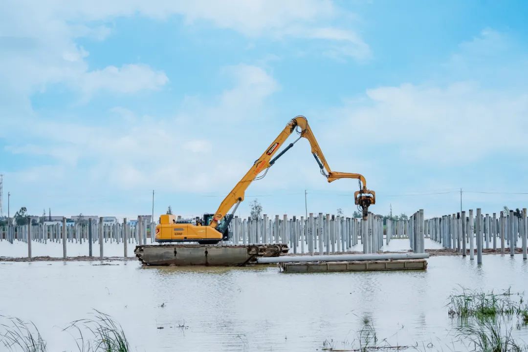 bti体育平台·(中国)官方网站