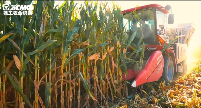 47c421b5006e44e999d764b0d0e4a675