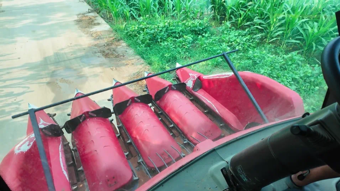 794fd8b054054c19b4bd7a134fd9b457