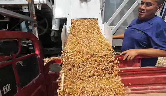 bti体育平台·(中国)官方网站