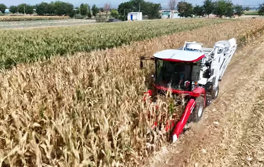 bti体育平台·(中国)官方网站