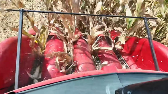 bti体育平台·(中国)官方网站