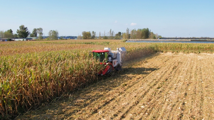 d9388cce31ef4d76b1334ecbd3d42c0a