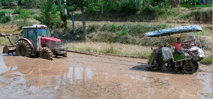 e336c94620c5436f8d86e7d686a61c84