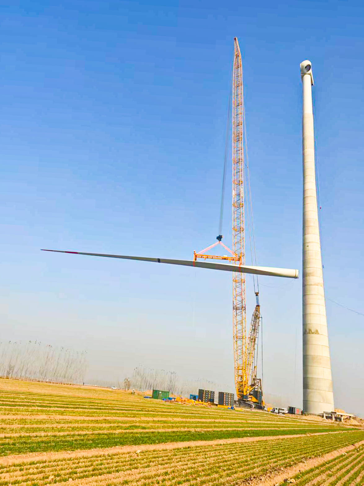 bti体育平台·(中国)官方网站